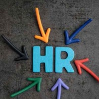 HR Professional