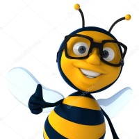 Mr. Bee