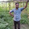 Rabin Borah