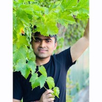 Ajay Kumar