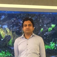 Safdar Alam
