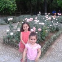 Abdou Elmess