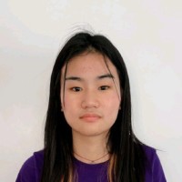 Vinci Shi