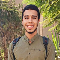 Ali Alaa Eldin Elsayed