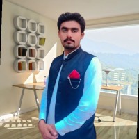 Ali Hasnain