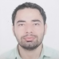 saed Amer