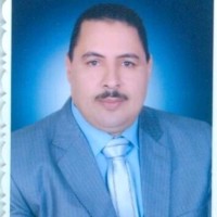 Mohammed Hafez