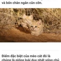 Đang Bùi