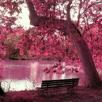 Umi Noorshaliza Abd Malik