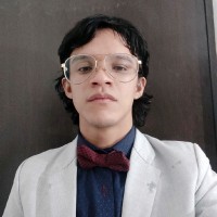 Irving Adrian Castellanos Alvarez