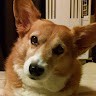 小林めぐみ