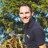 Daniël Jongejan