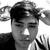 fernando Palma Alvarez