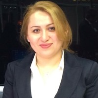 Somayyeh Ansari