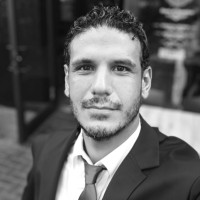 Mounir B Gaied