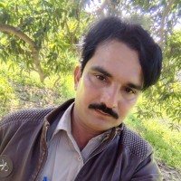 rashid ali