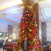 Lyn Dizon