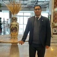 Hamed Niro