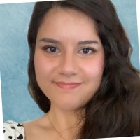 Özge Olcay