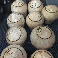 Frozen Coconuts
