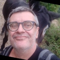 Jordi Lluis Vilar Codina