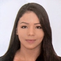 Geise Hori