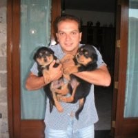 Michele Mauro