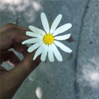 مها العتيبي