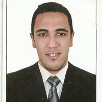 Mohamed Hesham Hussien Khoder