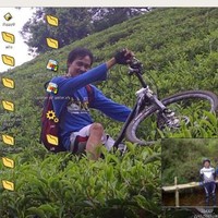 shilo alc