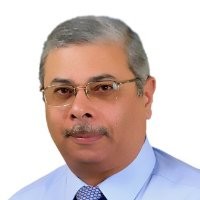 Alaa eldin Shehata