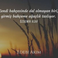 Şemsedtin Ballı