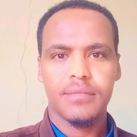 Tewelde Zemichael