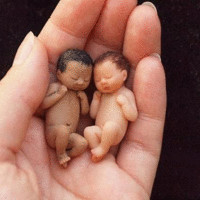 Ana Claudia Queles Belmont