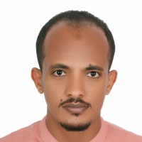 Mohamed Salah Eldin