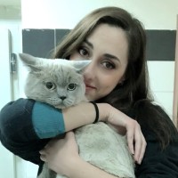 Ayşe Gökçen Solak