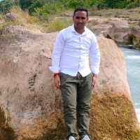 Parmar Vijay