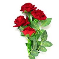srinu n