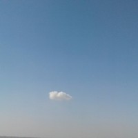 s Asghari