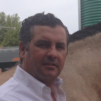 David Mangas