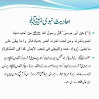 Shahzad Mehboob Ellahi