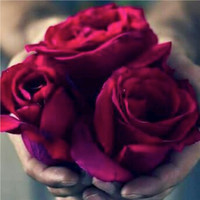 Rasha Sallam
