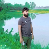 Md Kawsar Ali