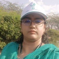 Priti Kulkarni