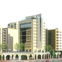 محمد الهاشمي