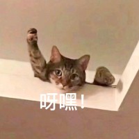 陈修林