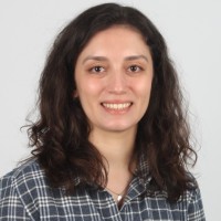 Faden Turgut Arabacı