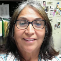 Cindi Siller