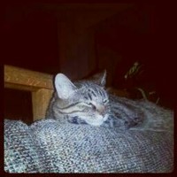 My Info Zariwny