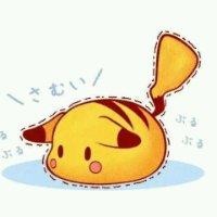 童晓丹